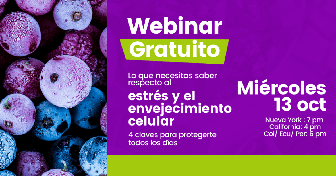 bien-plantado-lo-que-necesitas-saber-respecto-al-estres-y-el-envejecimiento-celular